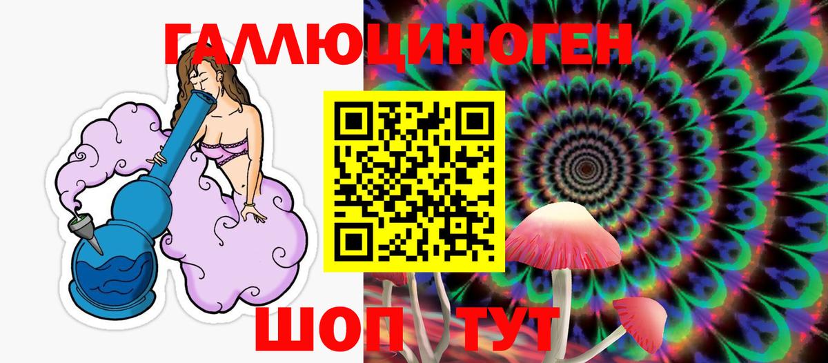 Псилоцибиновые грибы Psilocybine cubensis Сызрань