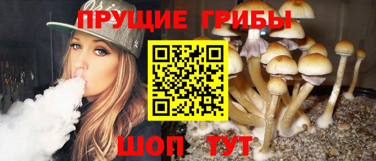 Псилоцибиновые грибы прущие грибы  Вход с VPN  Сызрань 